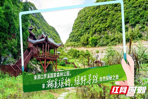 微信图片_20250428134235.jpg 暑气渐近何处寻凉?湖南九大生态旅游避暑胜地邀您赴清凉诗意之约(图4)