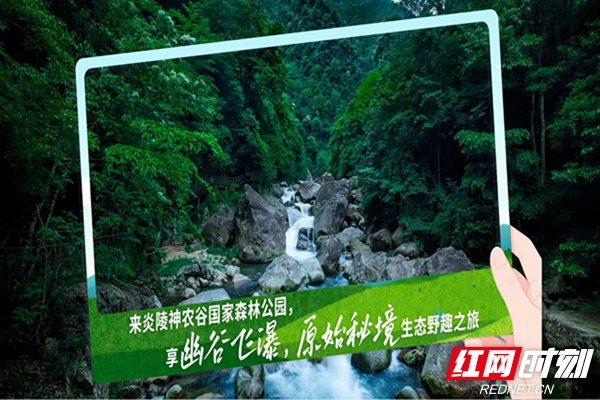 微信图片_202504281342381.jpg 暑气渐近何处寻凉?湖南九大生态旅游避暑胜地邀您赴清凉诗意之约(图10)