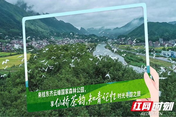 微信图片_202504281342362.jpg 暑气渐近何处寻凉?湖南九大生态旅游避暑胜地邀您赴清凉诗意之约(图9)