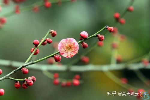 七绝《悠闲人家》新韵(图1)