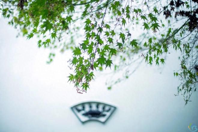 看完这30句恬静诗词，你会感受到一种淡泊名利的人生态度(图4)