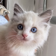 悠闲人家YXRJ.top