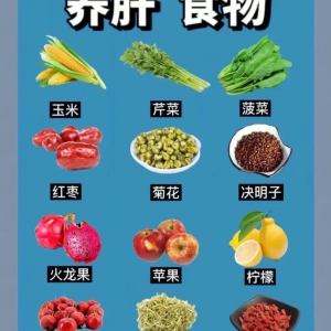 养肝护肝食物食谱大全2