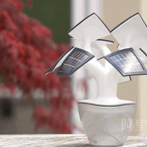 会充电的树，既可以充电又可以照明，实用又美观