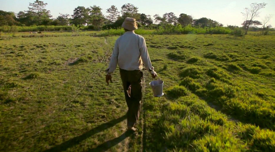 印度一岛民坚持种树35年,将550公顷荒岛变森林(图4) 印度一岛民坚持种树35年,将550公顷荒岛变森林(图4)