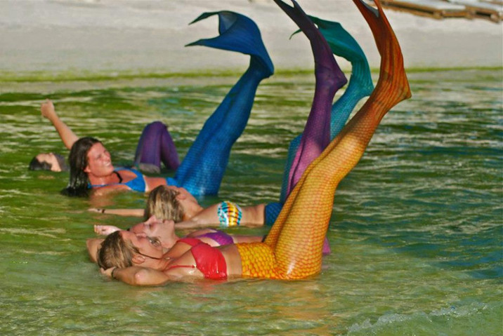 游泳学校教会你如何成为一个美人鱼(图2) 游泳学校教会你如何成为一个美人鱼(图2)