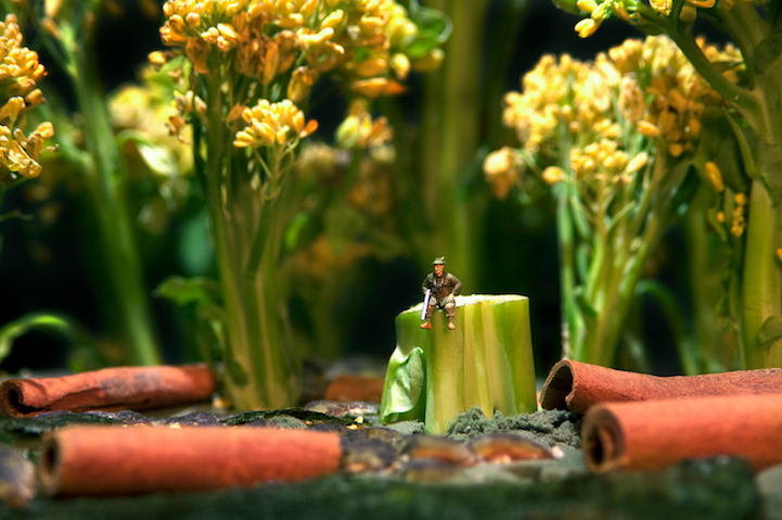 微距摄影的食物和人偶,每个都是不同的故事(图5) 微距摄影的食物和人偶,每个都是不同的故事(图5)